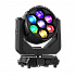 SHOWLEE F-0760 EYE / F-0769 EYE