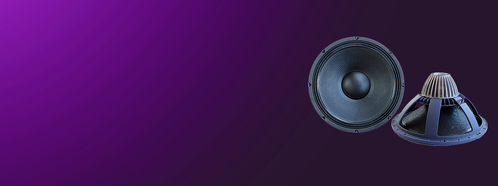TURBOSOUND TS-18SW2800C8